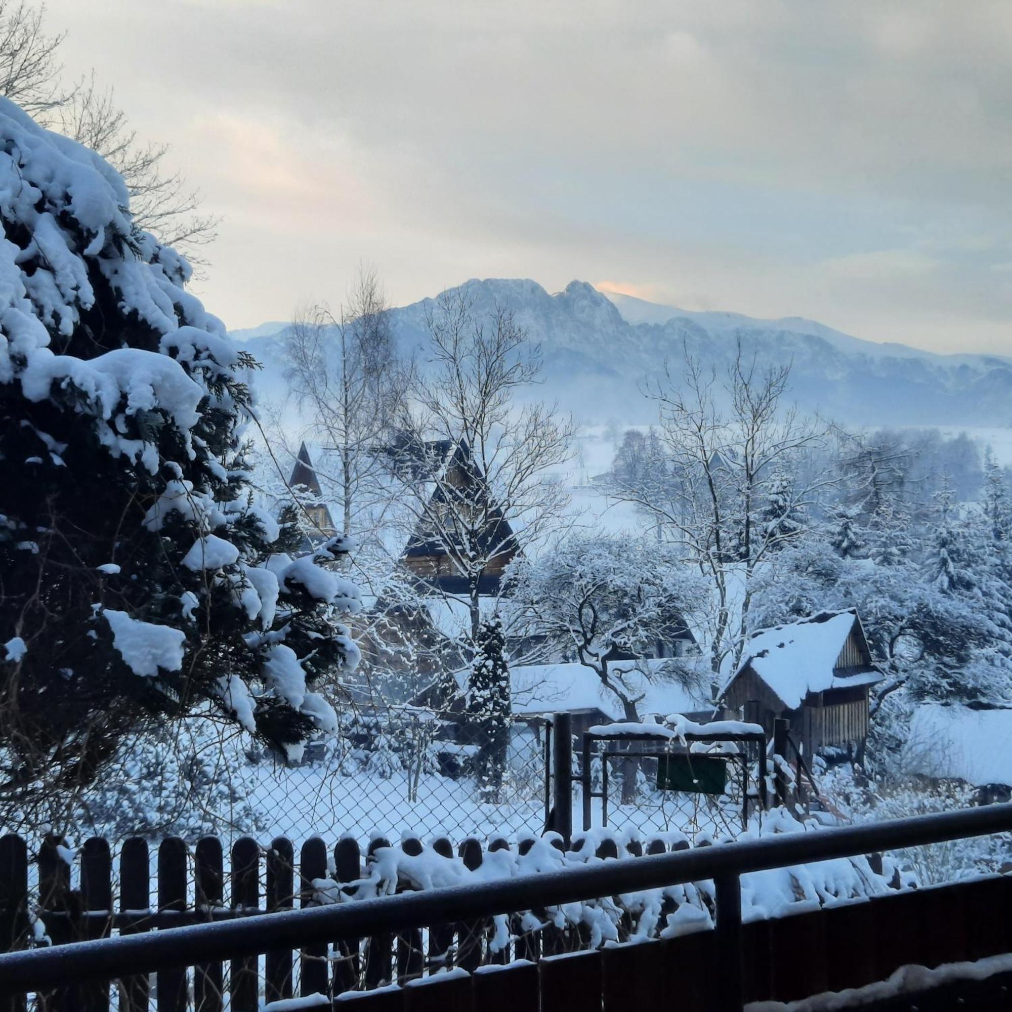 Willa U Bzyka Zakopane Buitenkant foto