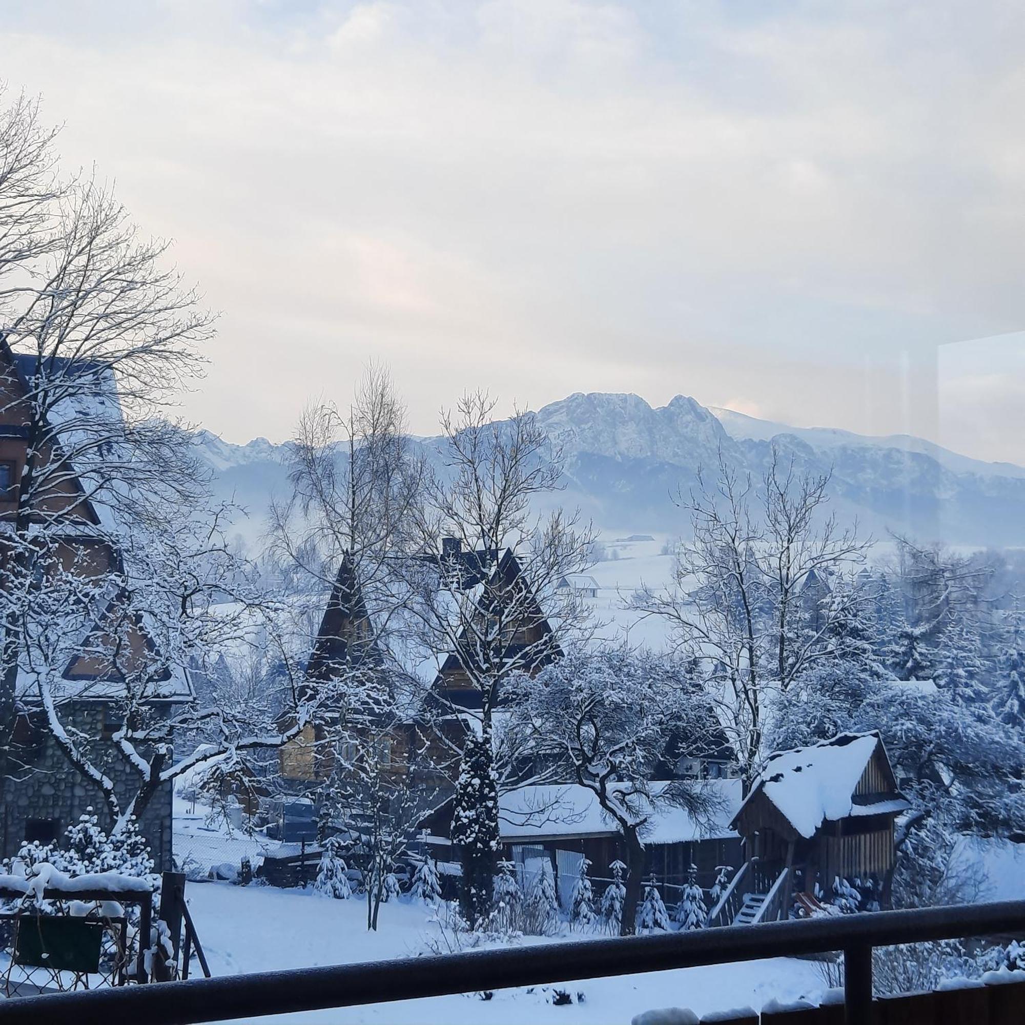 Willa U Bzyka Zakopane Buitenkant foto
